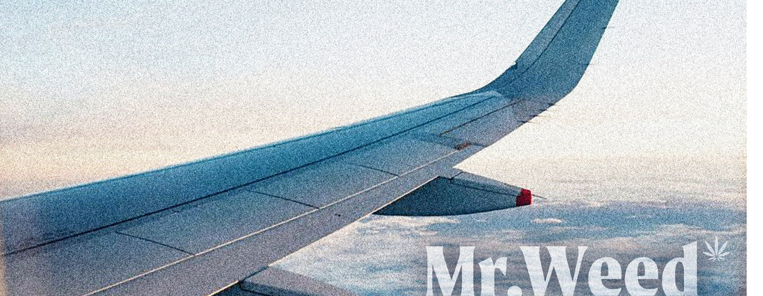 llevar CBD en el avión
