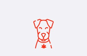 Mr Weed comprar CBD para mascotas - perros - gatos - animales