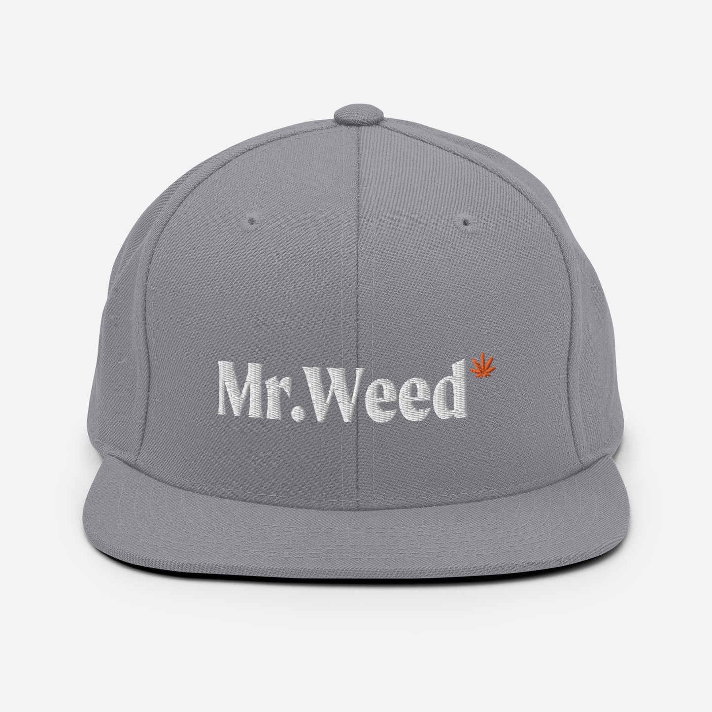 Snapback · Silver