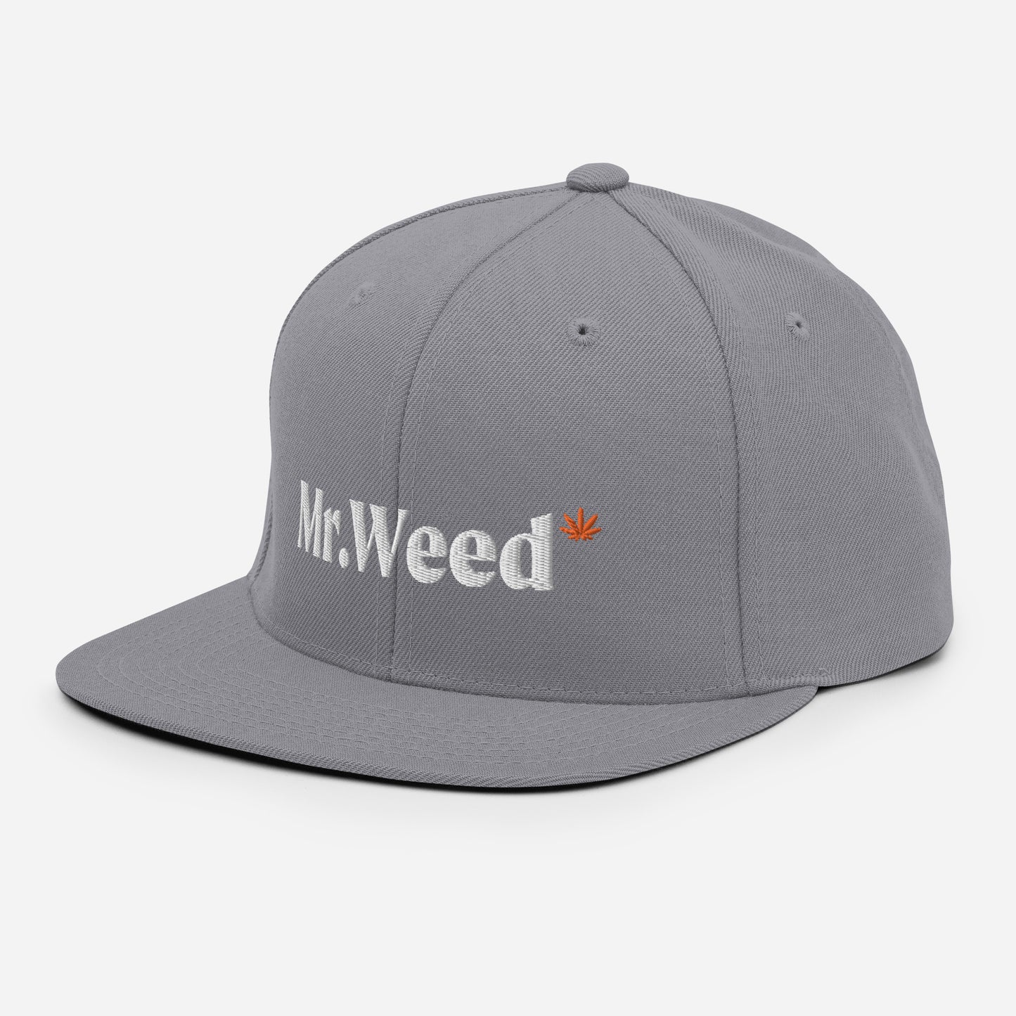 Snapback · Silver