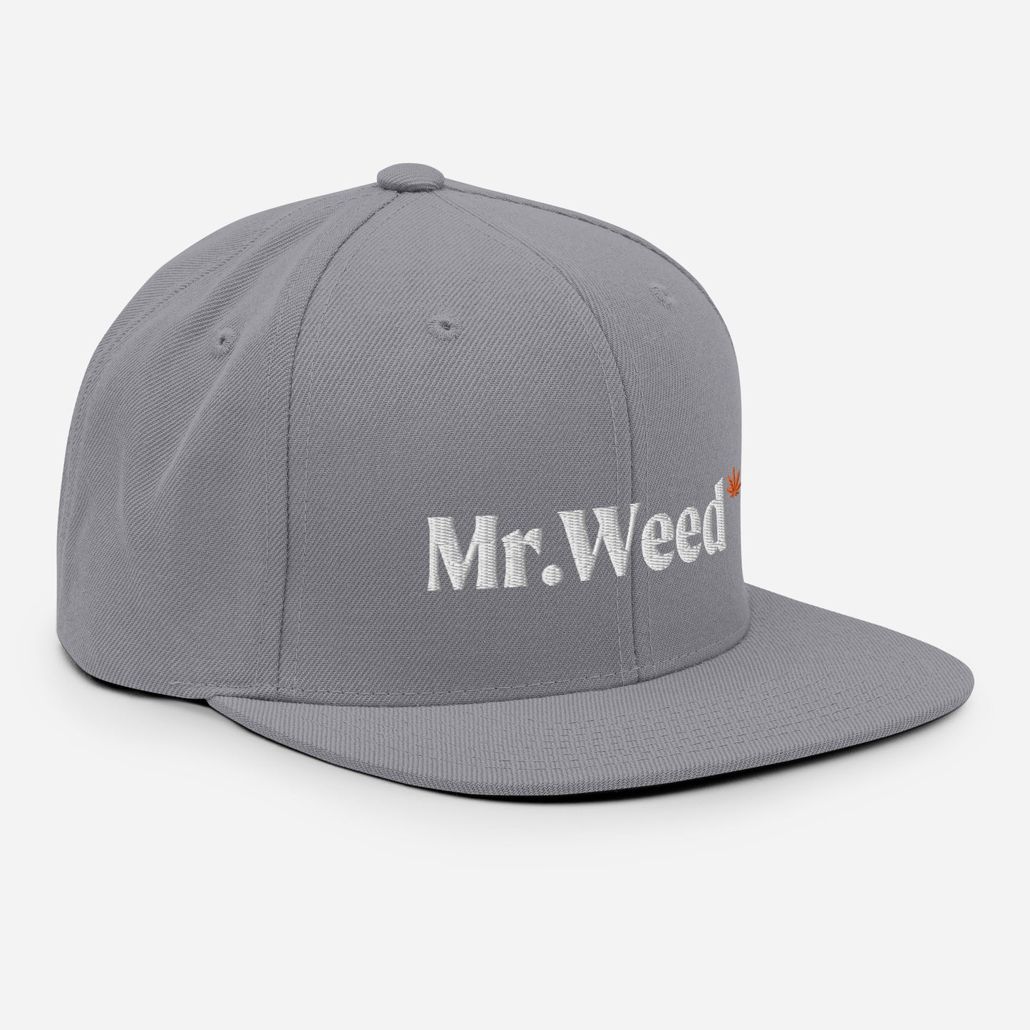 Snapback · Silver