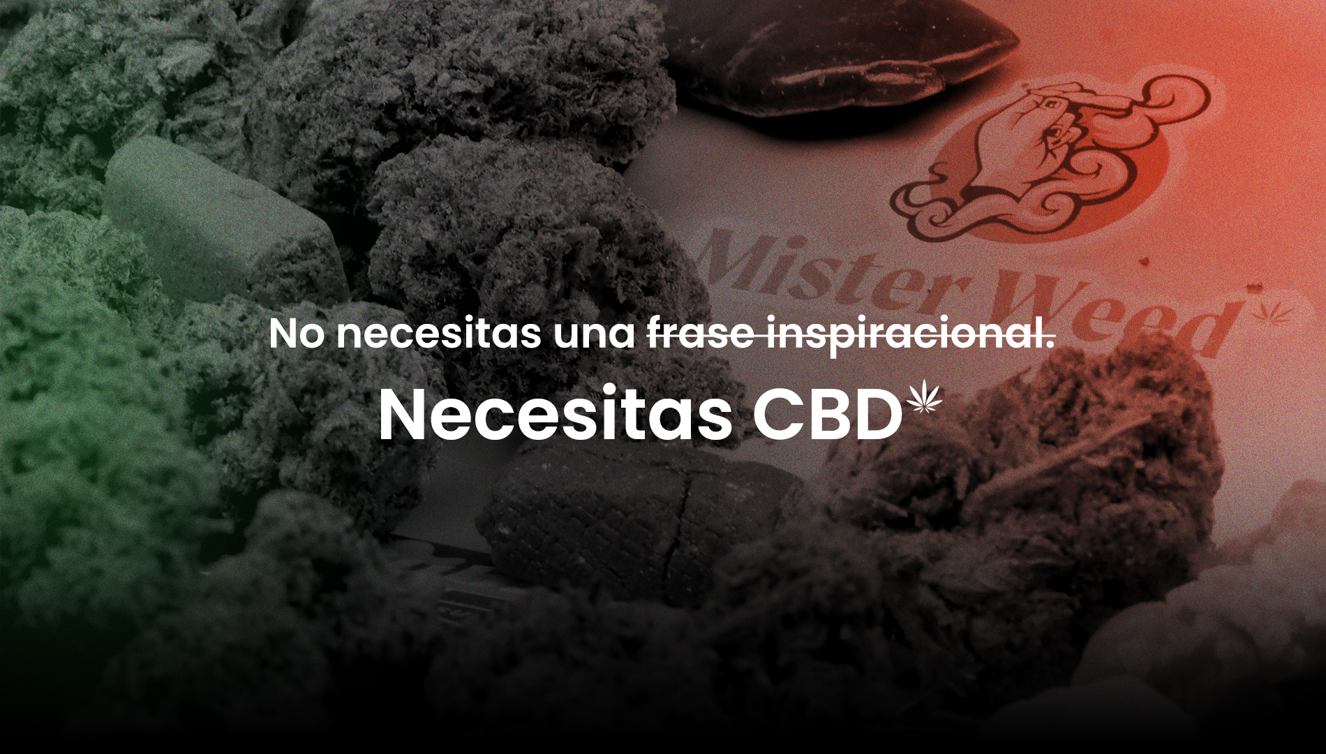 Mr Weed CBD Shop online - Tienda de CBD Madrid