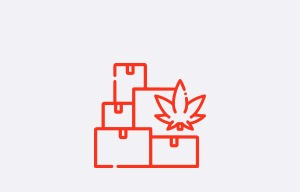 Mr Weed comprar packs CBD Flores - Hachis - Aceite CBD