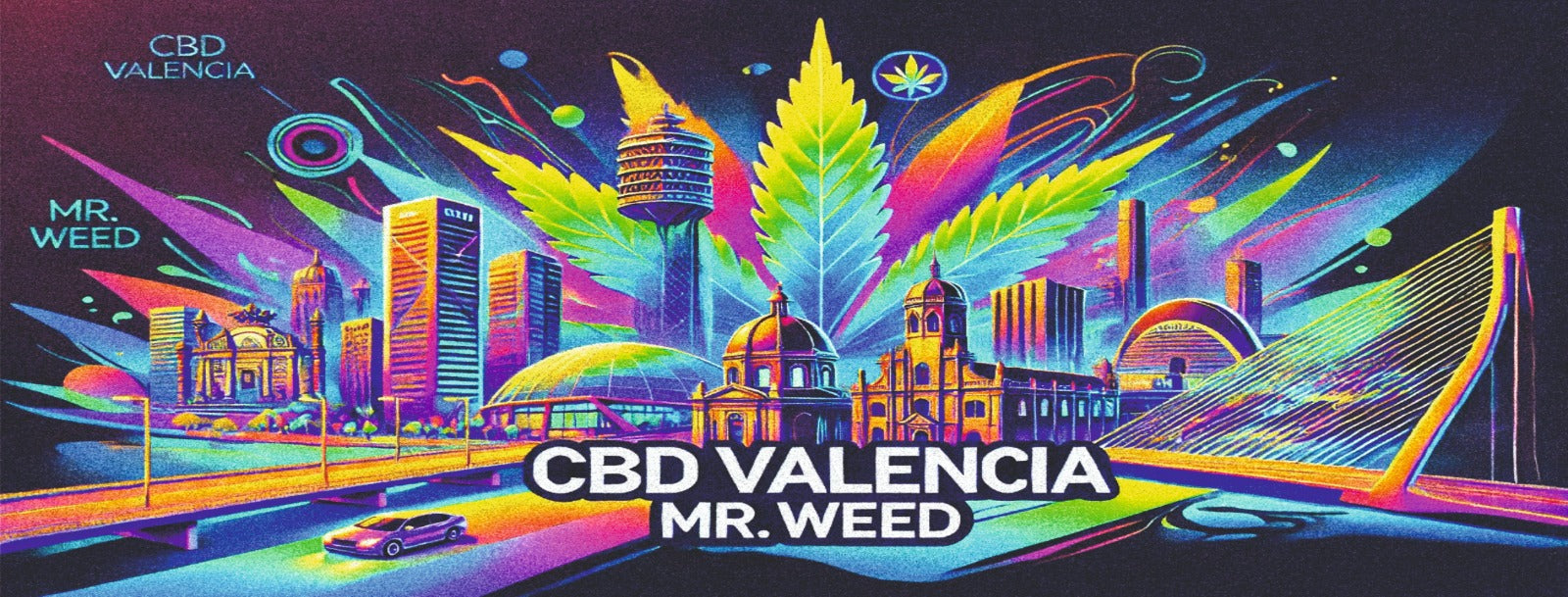 CBD Valencia - Mr. Weed