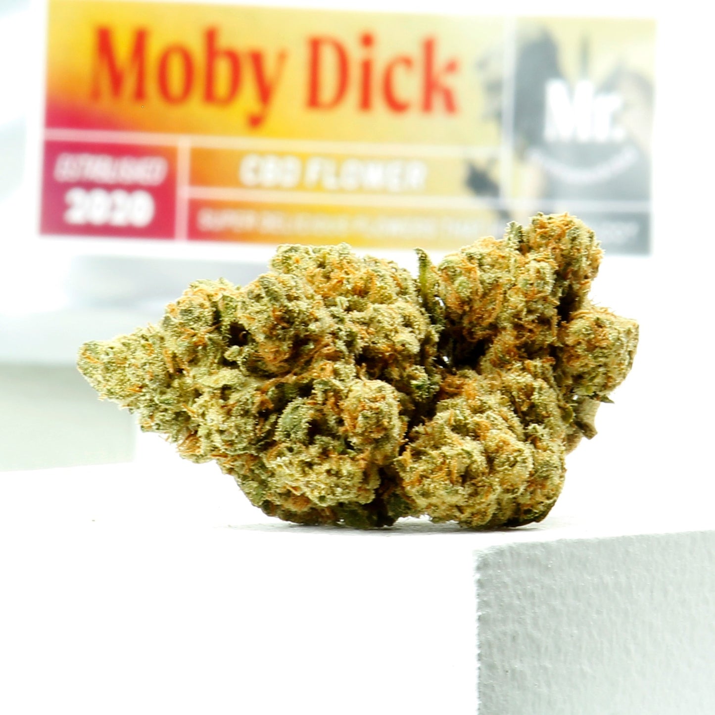 Moby Dick Weed INDOOR HYDRO CBD