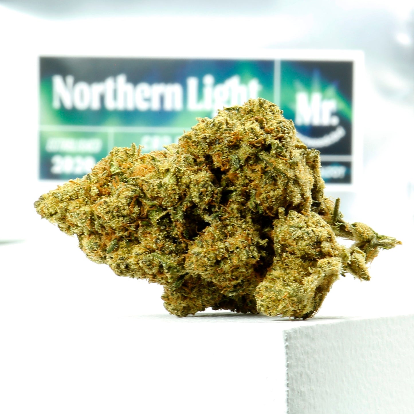 Northern Light Weed CBD INTERIOR